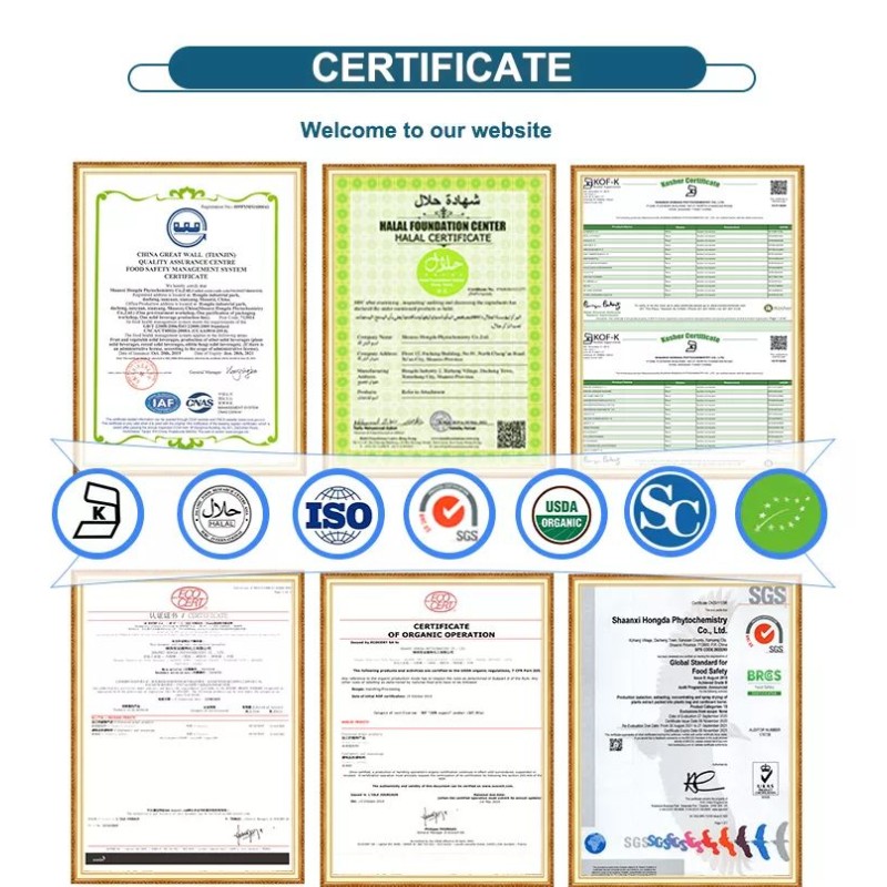 Sodium Hexametaphosphate Manufacturer - ODM 99% SHMP CAS 10124-56-8 Powder