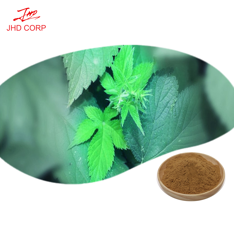 Devils Claw Extract Supplier - OEM Natural Harpagosides Root Extract Powder