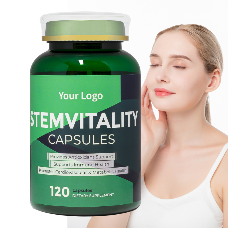 Aloe Macroclada Capsules Manufacturer - OEM Stem Vitality 120 Count