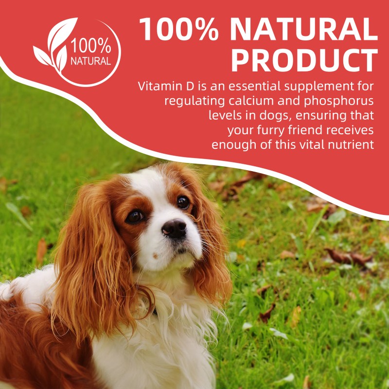 Pet Vitamin D3 Drops Supplier - OEM GMP Certified Pet Health Care