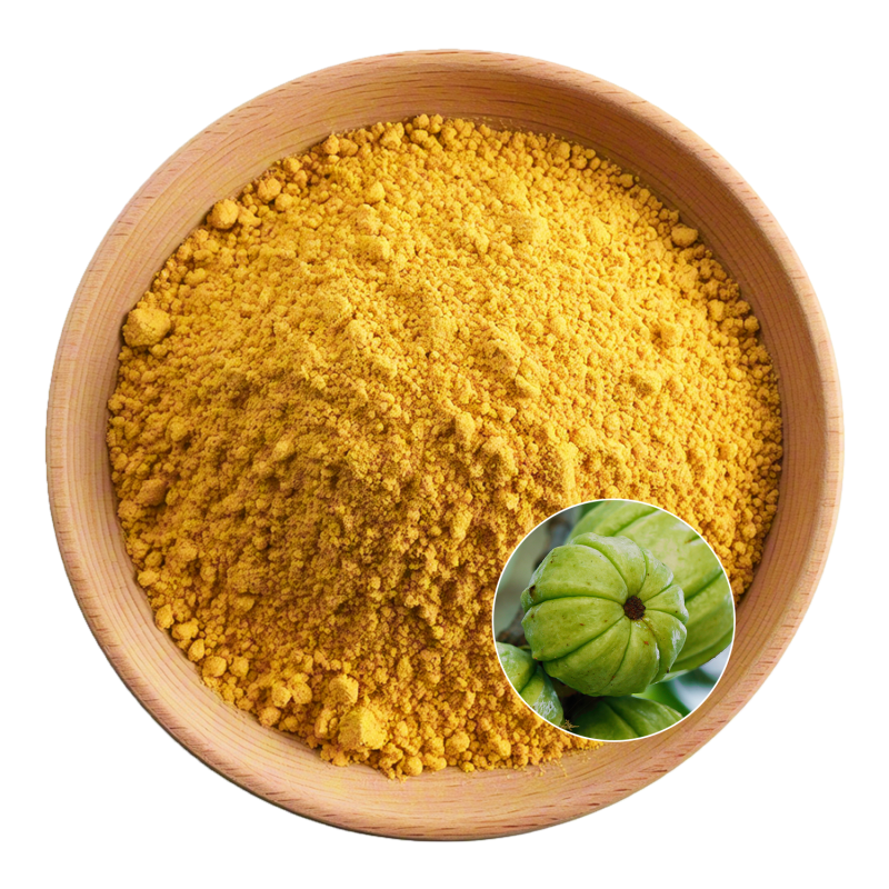 Garcinia Cambogia Factory - OEM Natural Weight Management Support