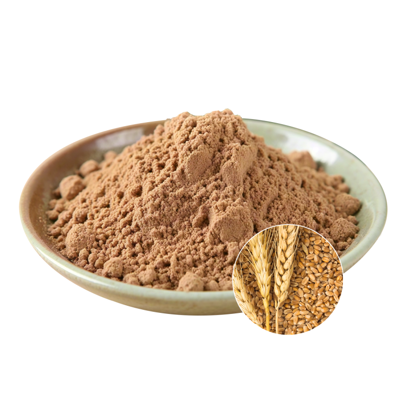 Malt Extract Powder Supplier - OEM Beverage Food Production Flavor