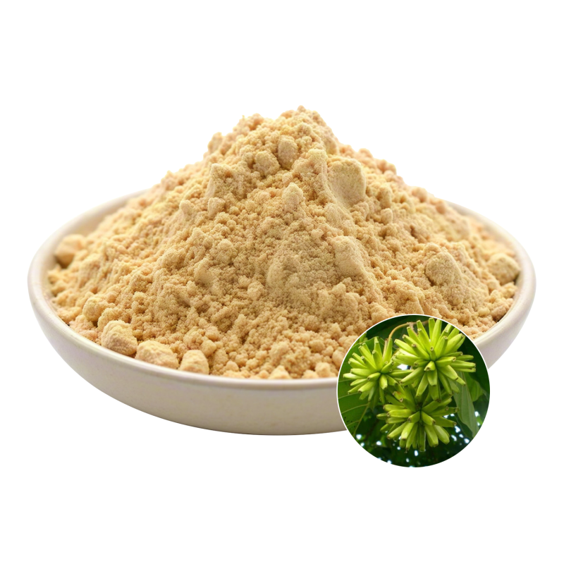Camptothecin Extract Supplier - OEM Camptotheca Acuminata Bark