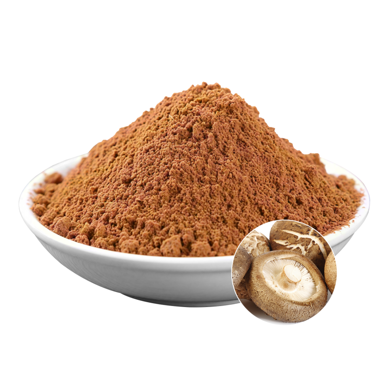 Shiitake Extract Powder Manufacturer - OEM Natural Vitality Wellbeing Support