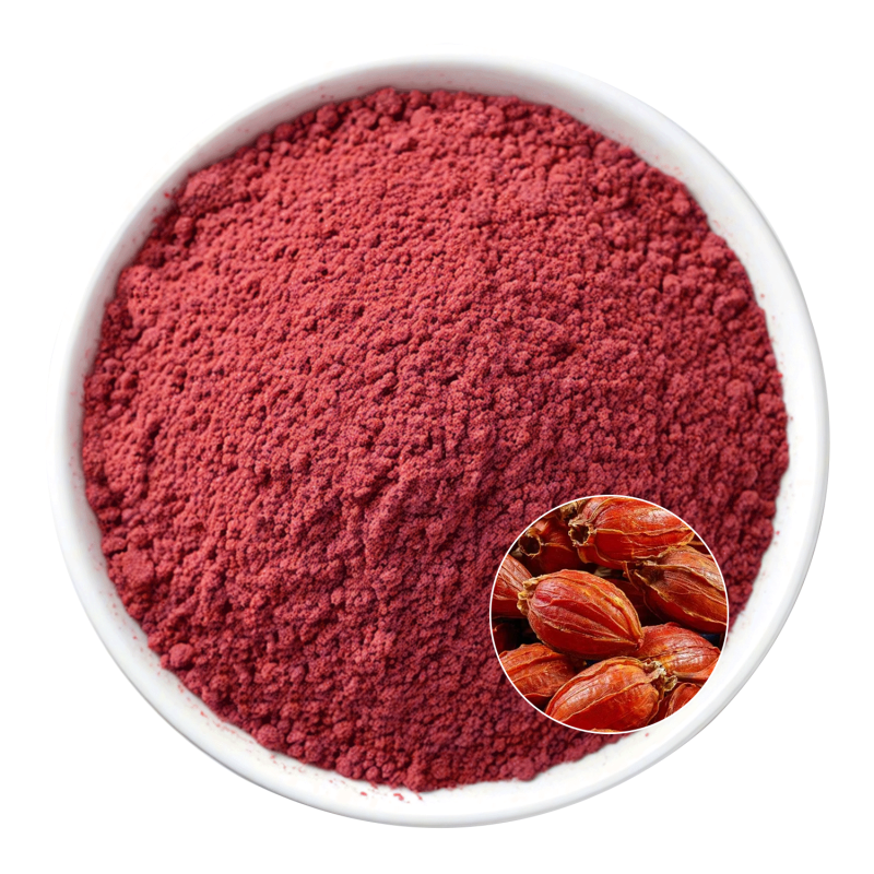 Gardenia Red Powder Supplier - OEM Natural Red Color Vegan Meat