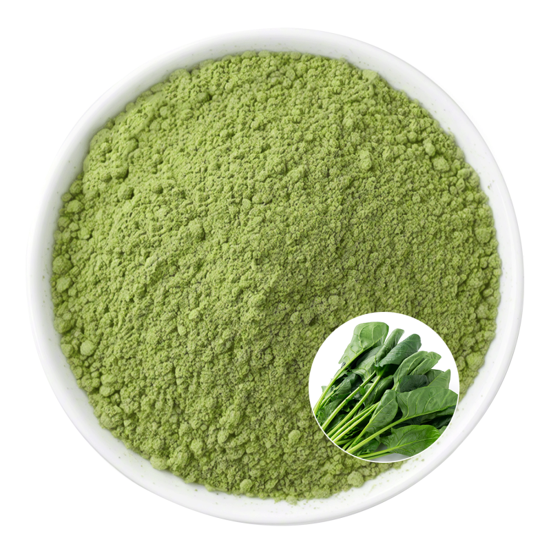 Spinach Powder Factory - OEM Freeze Dried 300 Mesh Beverage Powder