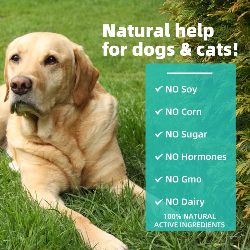 Pet Probiotic Drops Manufacturer - OEM Private Label Immune Digestive