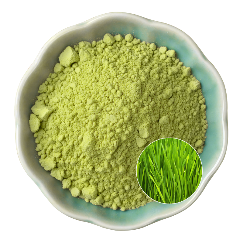 Wheat Grass Powder Supplier - OEM Natural Vitality Wellness Support