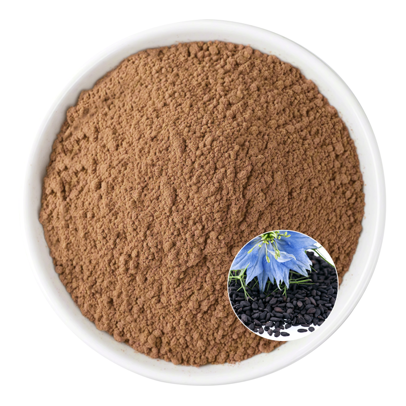Nigella Sativa Extract Supplier - OEM Herbal Supplement Natural Products