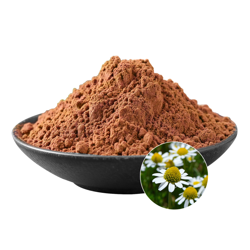 Chamomile Extract Powder Factory - OEM Relaxation Promotion Wellness