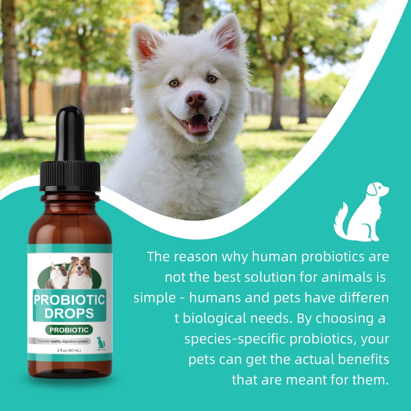 Pet Probiotic Drops Factory - OEM Non-GMO 5 Billion CFU Probiotic