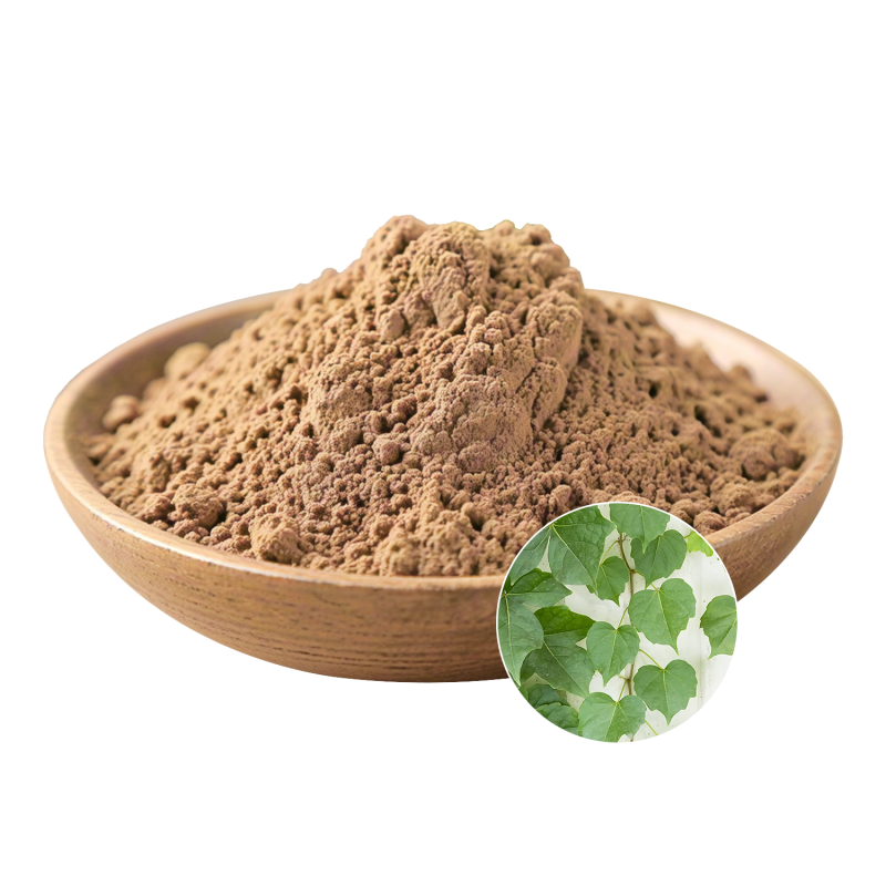 Ivy Leaf Extract Factory - OEM Natural Vitality General Health