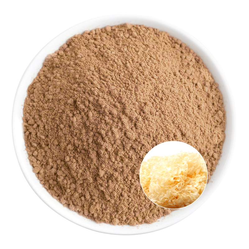 Tremella Extract Powder Manufacturer - OEM Supplement Beauty Product Formulas