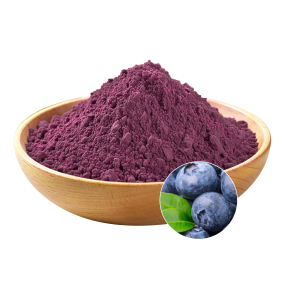 Bilberry Extract Supplier - OEM Natural Supplement Plant Formulas