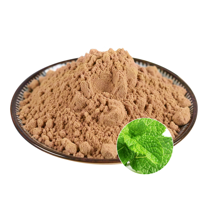 Peppermint Extract Powder Manufacturer - OEM Natural Freshness Wellbeing