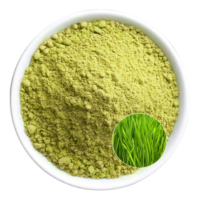 Wheat Grass Powder Supplier - OEM Natural Vitality Wellness Support
