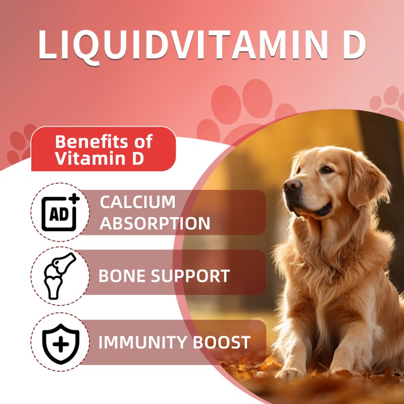 Pet Vitamin D3 Drops Manufacturer - OEM Bone Immune Support Dogs Cats