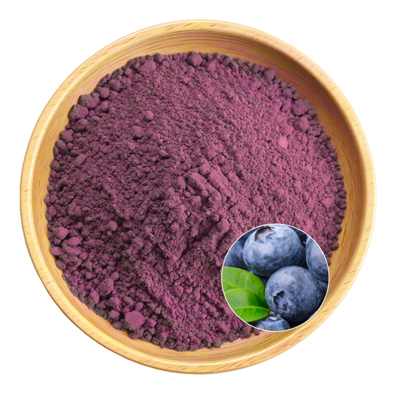 Bilberry Extract Supplier - OEM Natural Supplement Plant Formulas