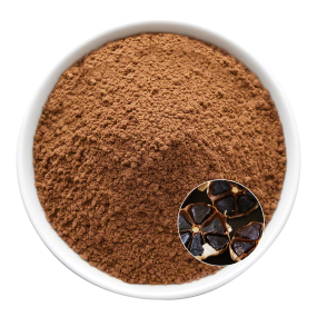 Black Garlic Extract Powder Manufacturer - OEM Beverage Raw Material Development