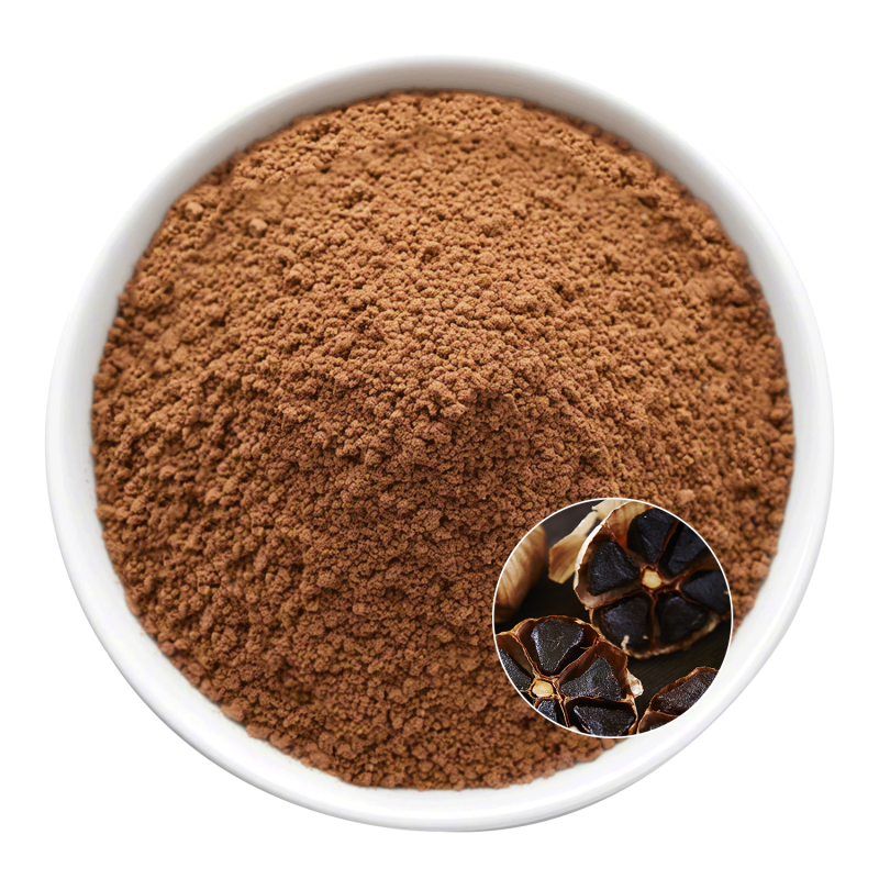 Black Garlic Extract Powder Manufacturer - OEM Beverage Raw Material Development