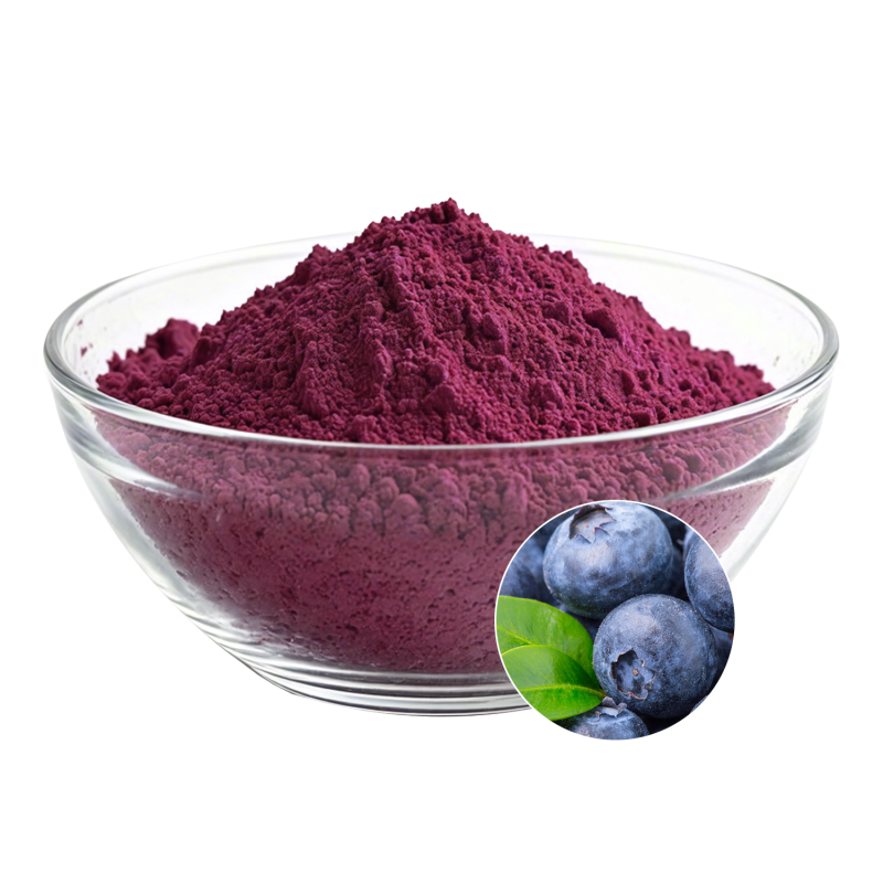 Bilberry Extract Supplier - OEM Natural Supplement Plant Formulas
