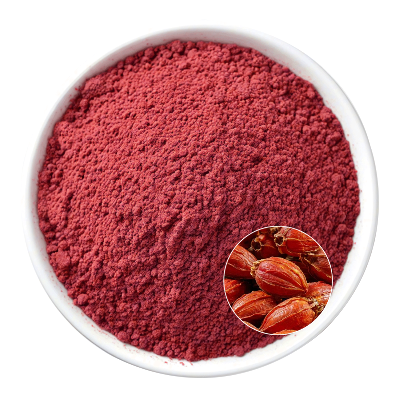 Gardenia Red Powder Supplier - OEM Natural Red Color Vegan Meat