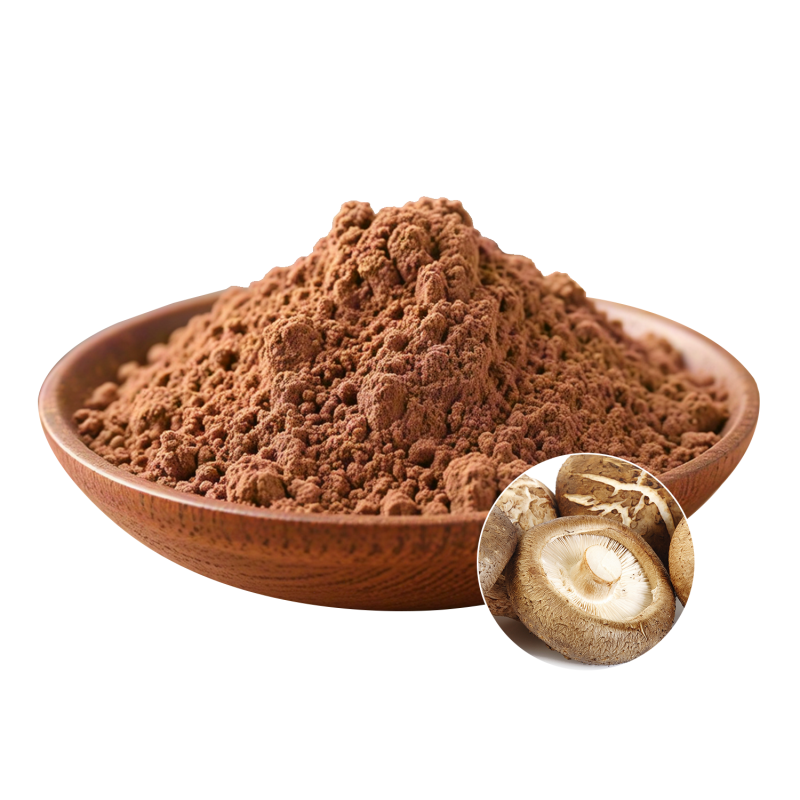 Shiitake Extract Powder Manufacturer - OEM Organic Vitality Wellness Support