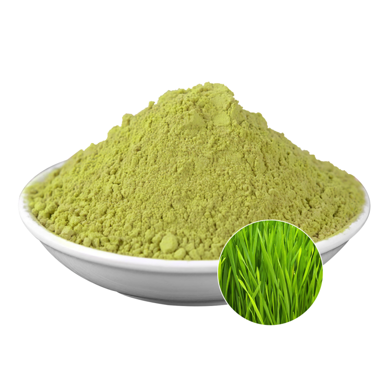 Wheat Grass Powder Supplier - OEM Natural Vitality Wellness Support