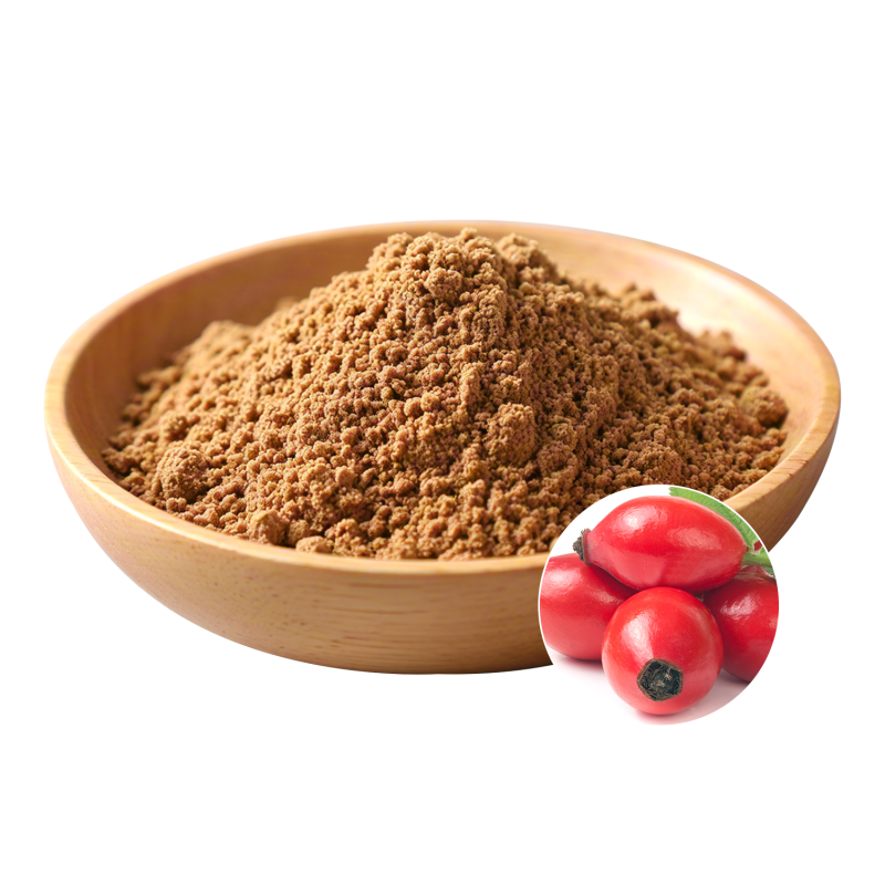 Rose Hip Extract Powder Manufacturer - OEM Natural Health Wellness Promotion