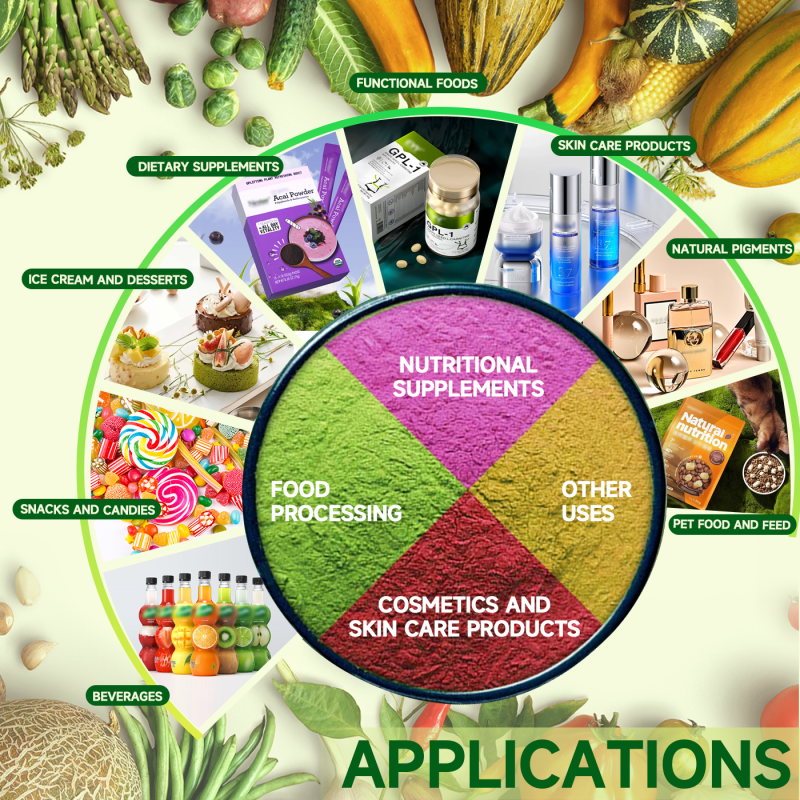 Dandelion Root Extract Manufacturer - OEM Adult Liver Digestive Support