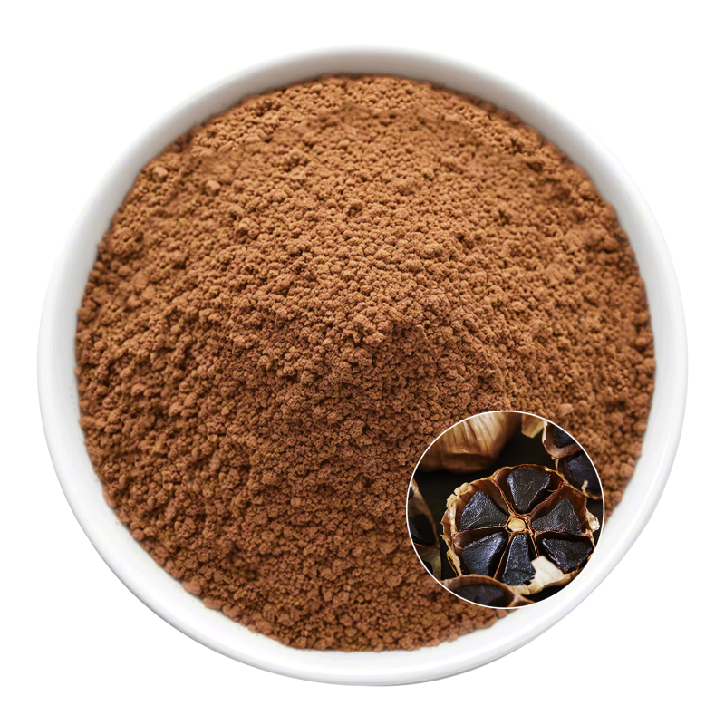 Black Garlic Extract Powder Manufacturer - OEM Beverage Raw Material Development
