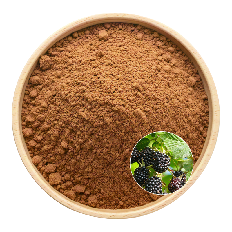Mulberry Leaf Extract Factory - OEM Herbal Blends Health Products