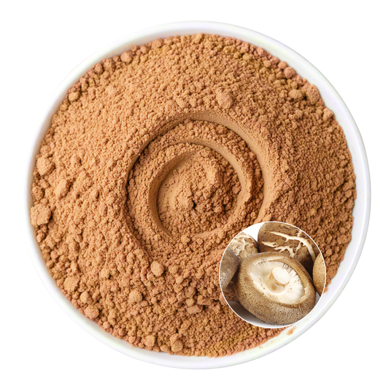 Shiitake Extract Powder Manufacturer - OEM Organic Vitality Wellness Support