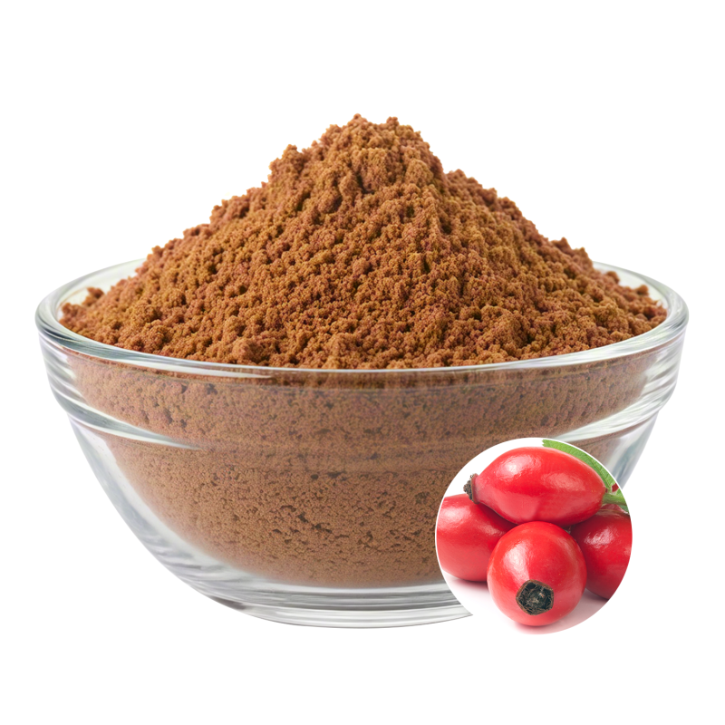 Rose Hip Extract Powder Manufacturer - OEM Natural Health Wellness Promotion