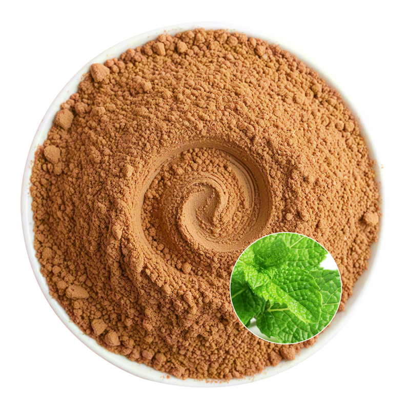 Peppermint Extract Powder Manufacturer - OEM Natural Freshness Wellbeing