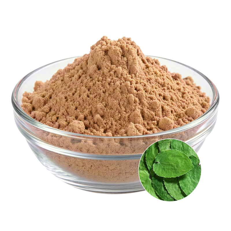 Icariin Extract Supplier - OEM 99% Pure Herbal Products Raw Material