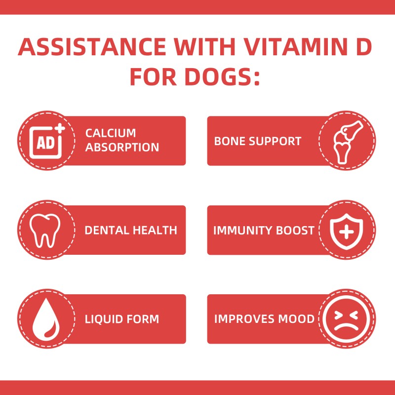 Pet Vitamin D3 Drops Supplier - OEM GMP Certified Pet Health Care