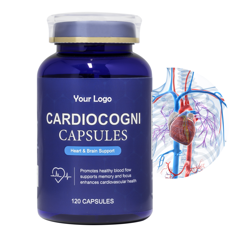 CardioCogni Capsules Factory - OEM Cold Processed Omega3 Antioxidant