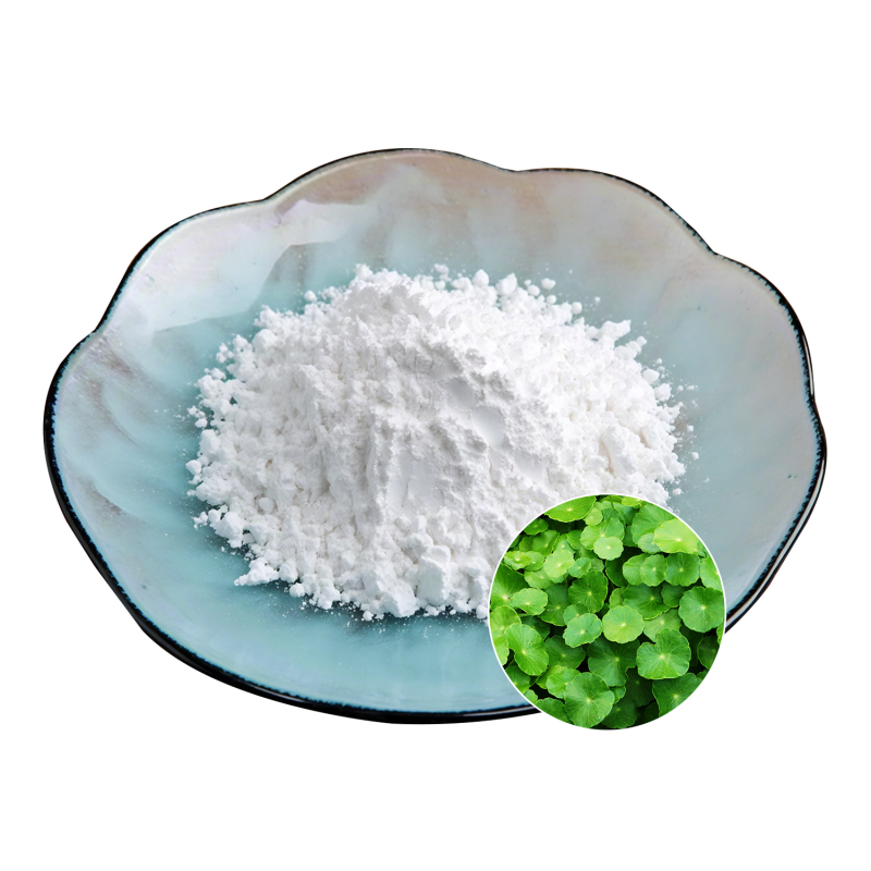 Centella Extract Powder Supplier - OEM Natural Wellness Vitality