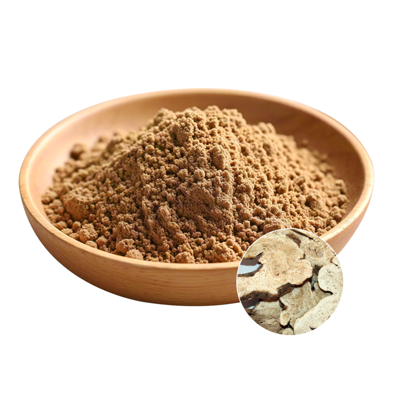 Atractylodes Extract Manufacturer - OEM Bai Zhu Rhizoma Extract Supply