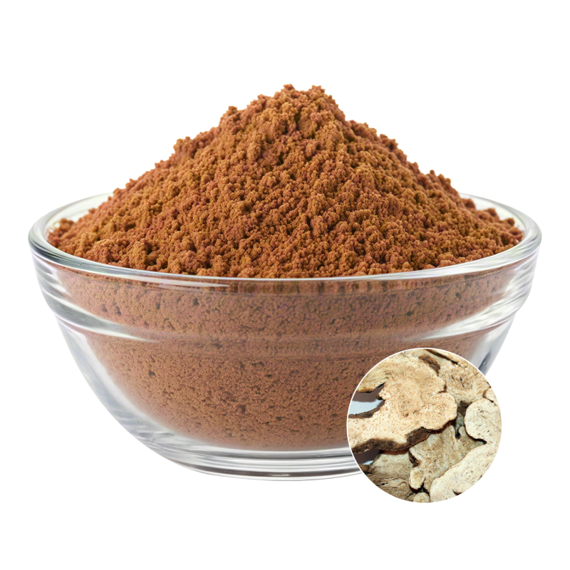 Atractylodes Extract Manufacturer - OEM Bai Zhu Rhizoma Extract Supply