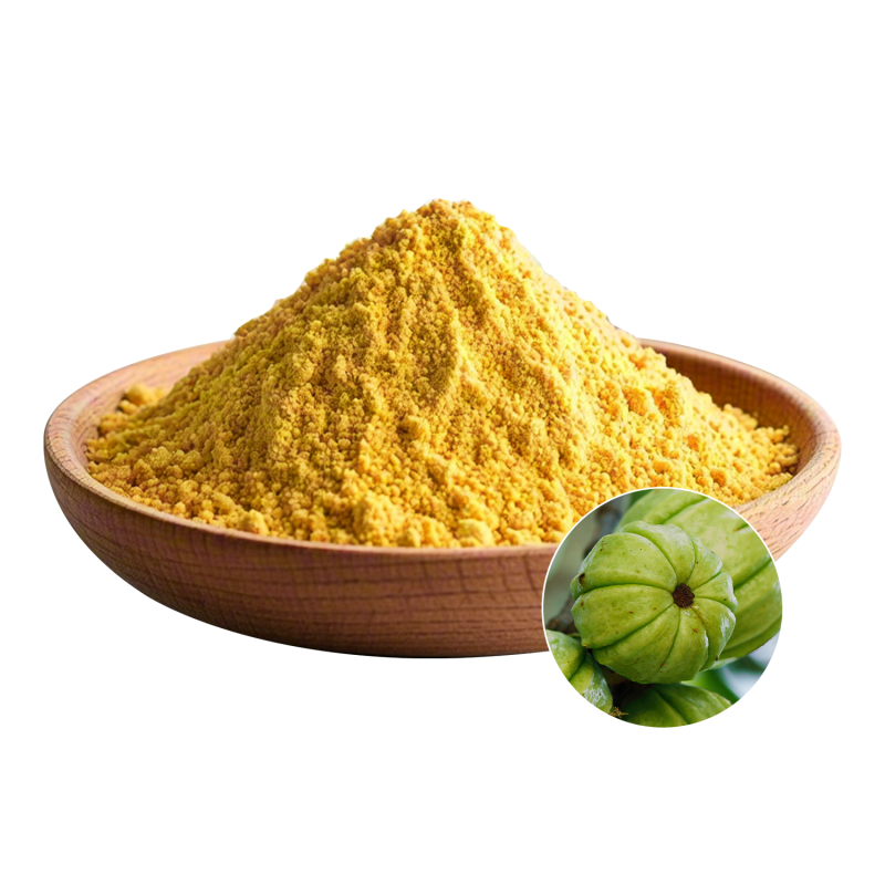 Garcinia Cambogia Supplier - OEM 60% HCA Weight Management