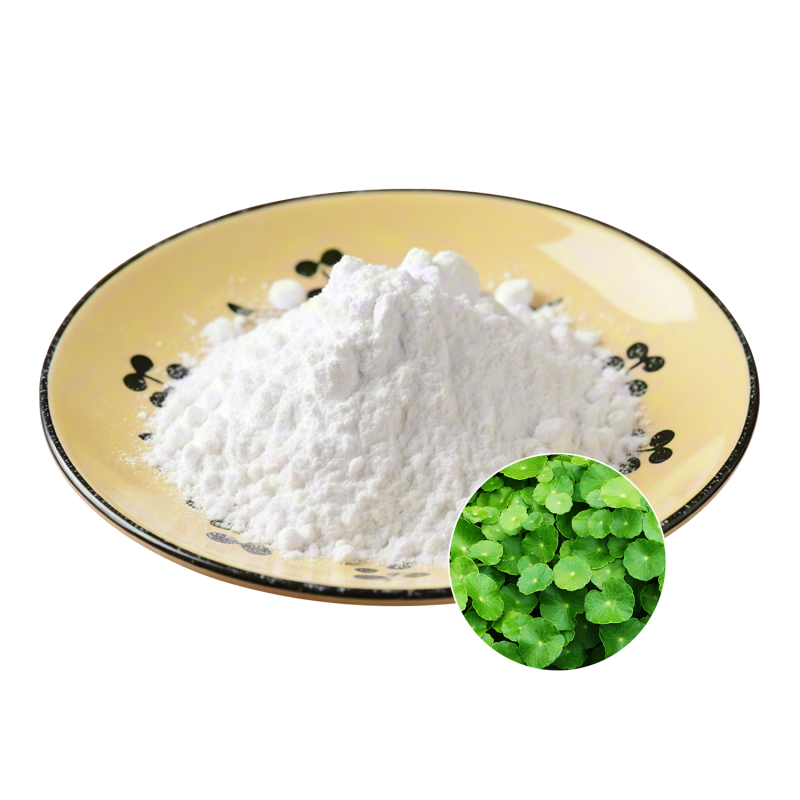 Centella Extract Powder Supplier - OEM Natural Wellness Vitality