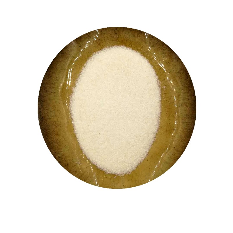 Staphylococcus Carnosus Powder Supplier - Quality Bacterial Culture