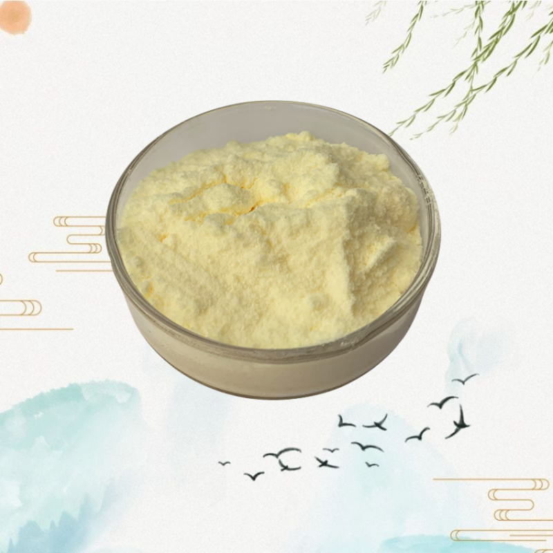Saccharomyces Cerevisiae Powder Manufacturer - High Quality Yeast