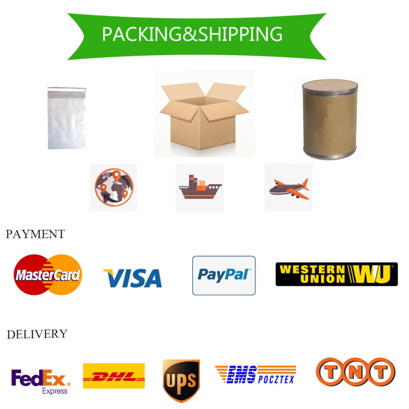 Probiotics Powder Supplier - Bacillus Subtilis Coagulans Digestive