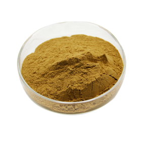 Probiotics Powder Supplier - Bacillus Subtilis Coagulans Digestive