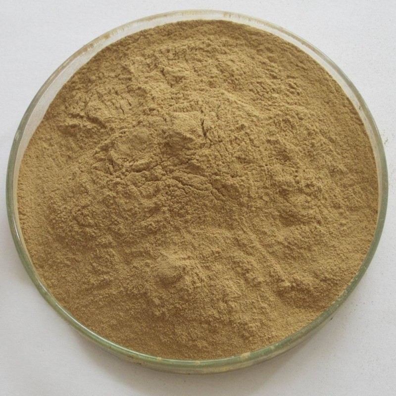 Green Coffee Bean Powder Supplier - Pure Natural Extract Wholesale