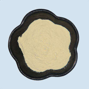 Yeast Beta Glucan Powder Manufacturer - Food Additive Natural