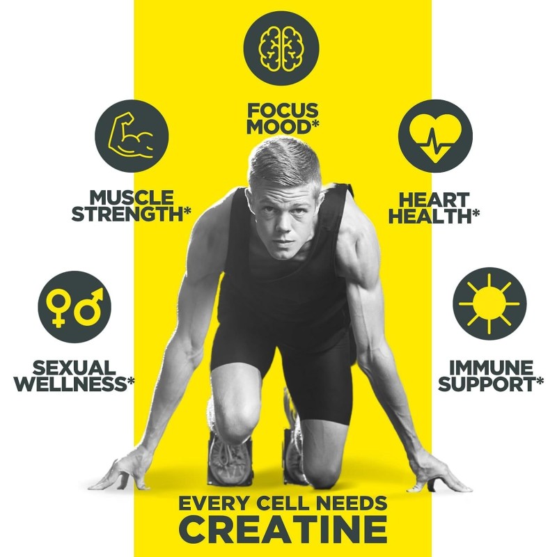 Creatine Monohydrate Capsules Manufacturer - Vegan Muscle Strength Power